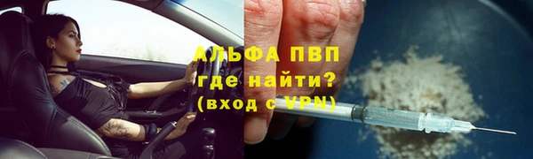 гашик Михайловск