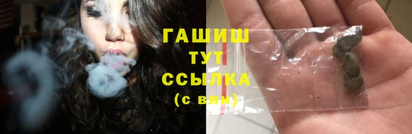 гашик Михайловск