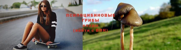 ешки Надым