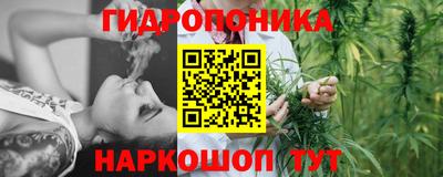 трава Аргун