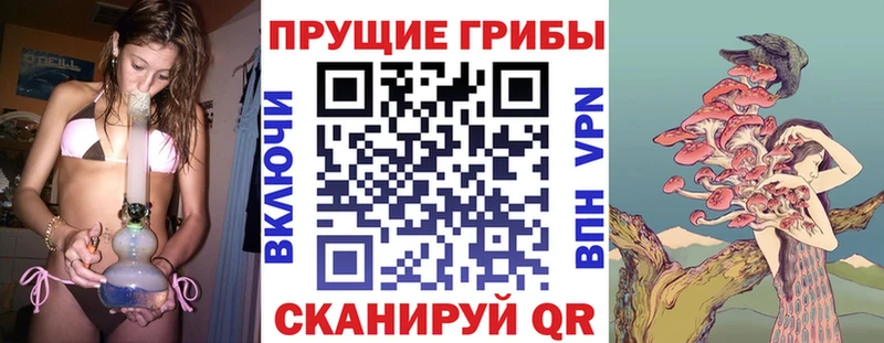 blacksprut ссылки  где можно купить наркотик  Астрахань  Галлюциногенные грибы прущие грибы 