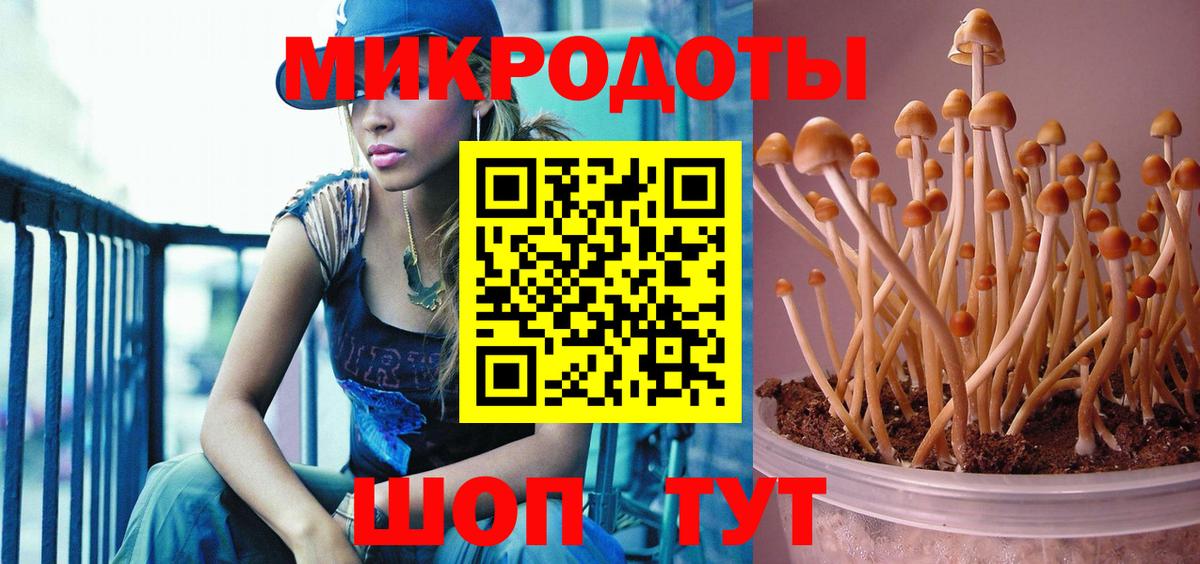 Галлюциногенные грибы ЛСД  Астрахань  купить наркотик  Галлюциногенные грибы MAGIC MUSHROOMS 