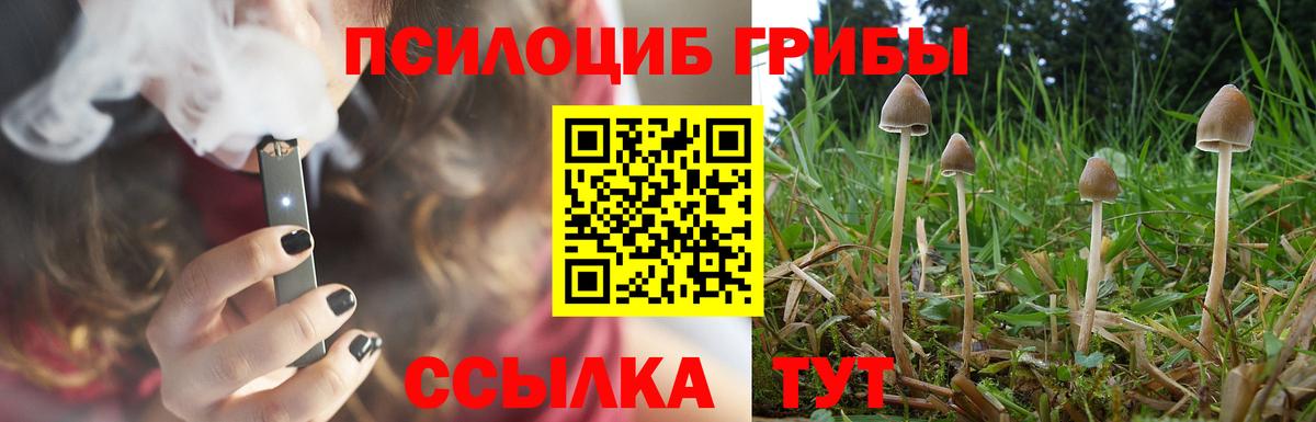 Псилоцибиновые грибы мухоморы Астрахань