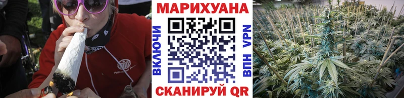 Конопля VHQ  наркошоп  Астрахань 