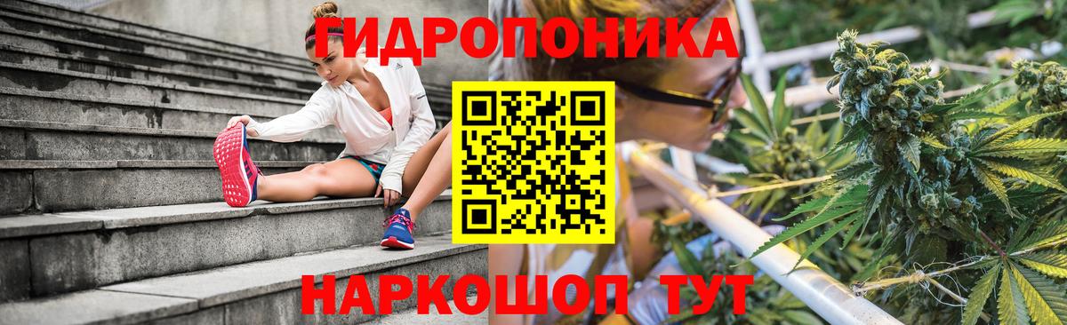 Каннабис индика  Астрахань  МАРИХУАНА семена  Бошки марихуана White Widow 